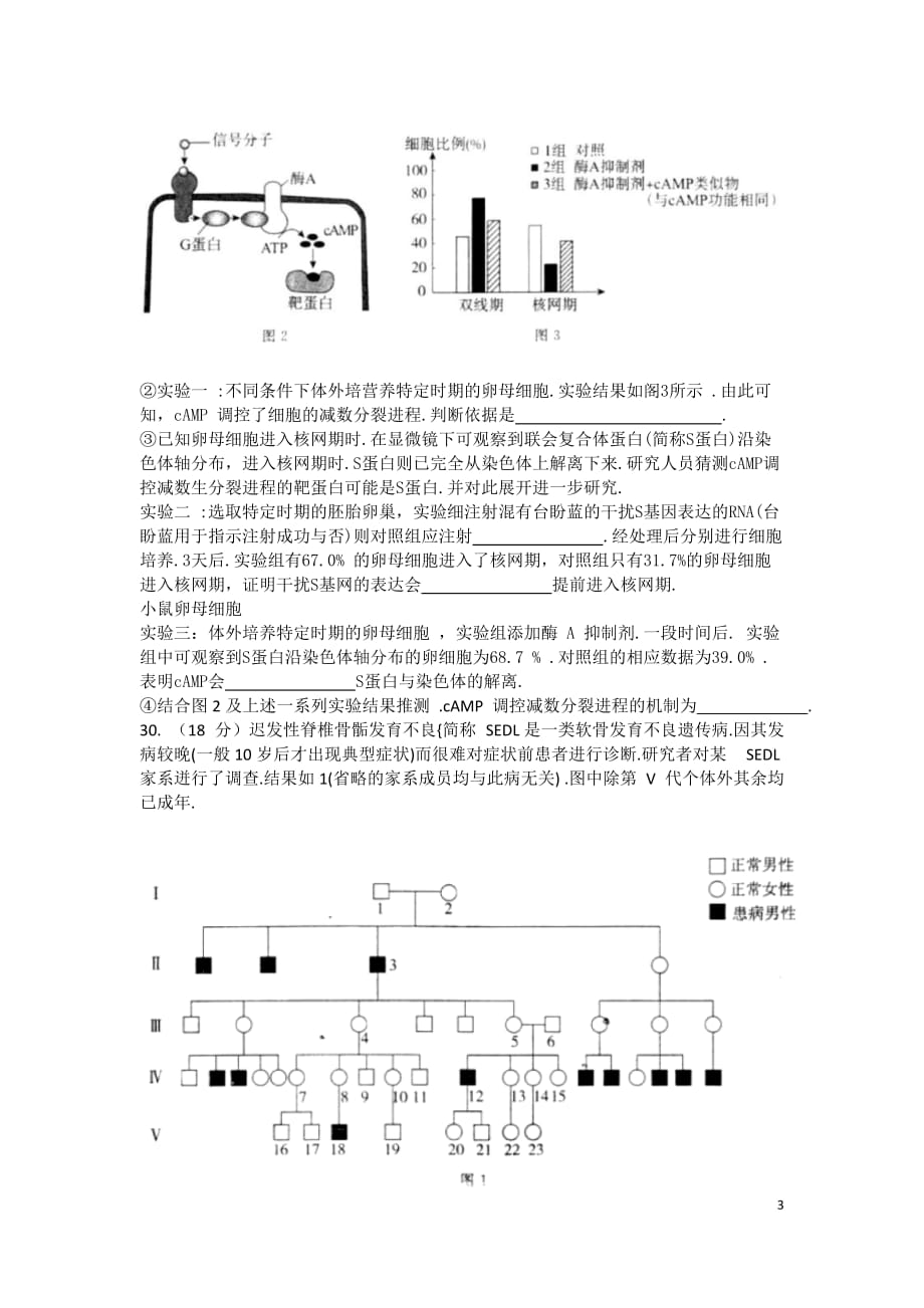 2018北京市东城区高三二模理综生物(word版)_第3页