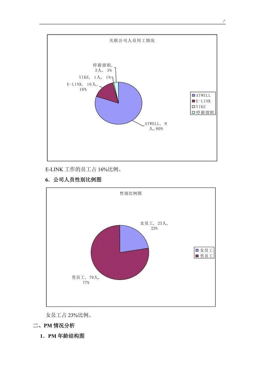 6,人力资源盘点报告_第5页