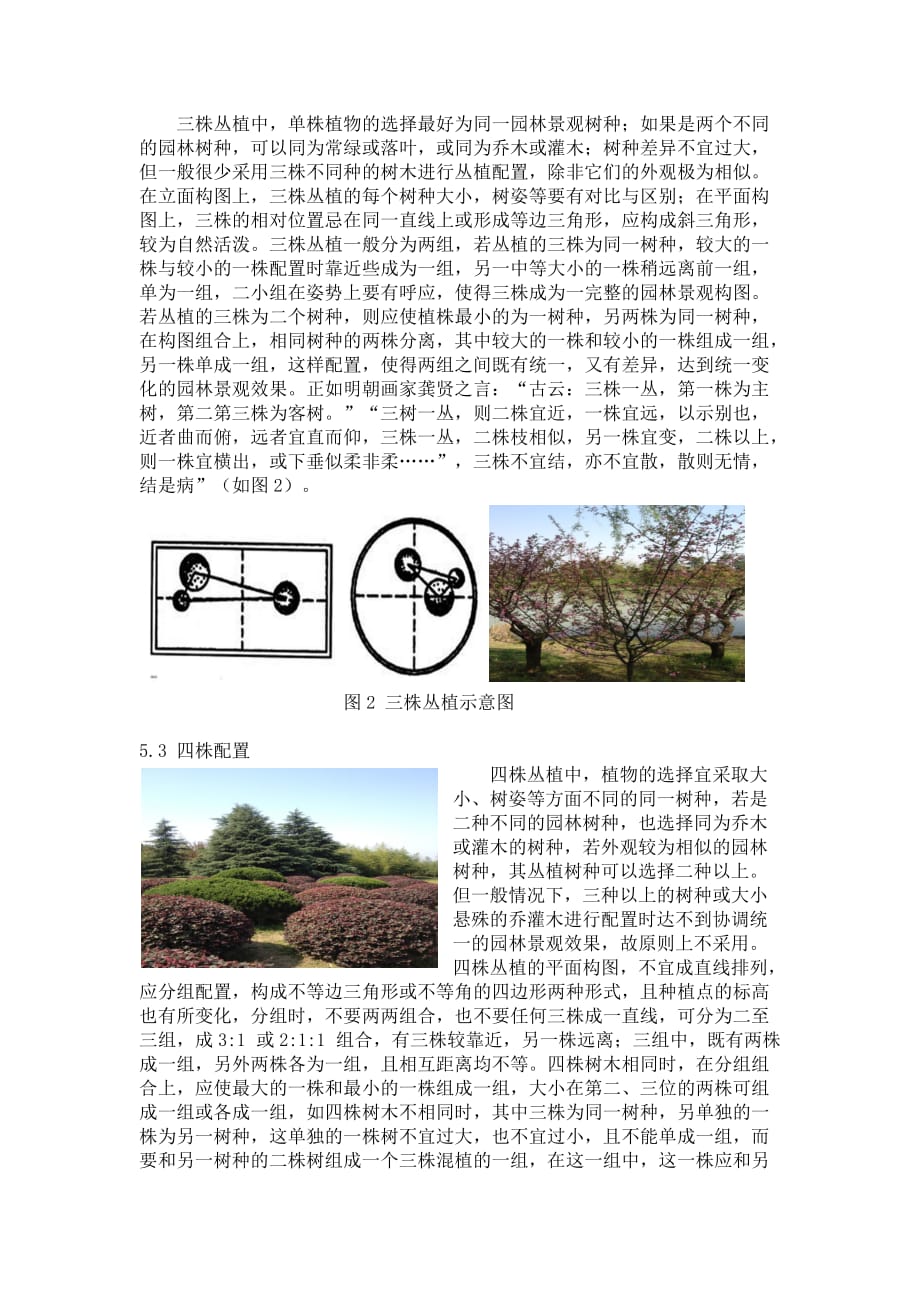 园林绿化中丛植种植类型的应用配置与分析.doc_第3页