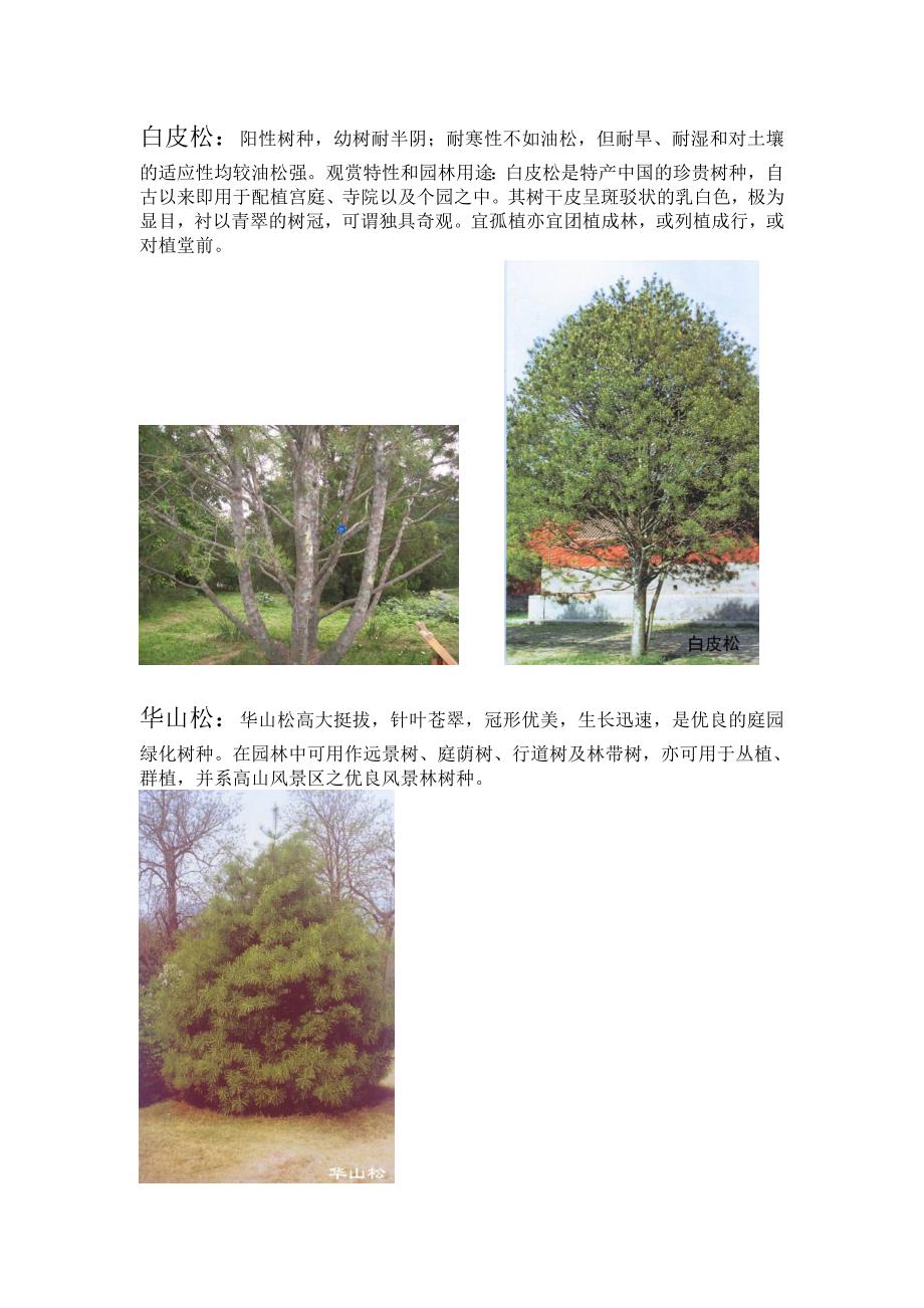北方常用园林植物汇总.doc_第2页