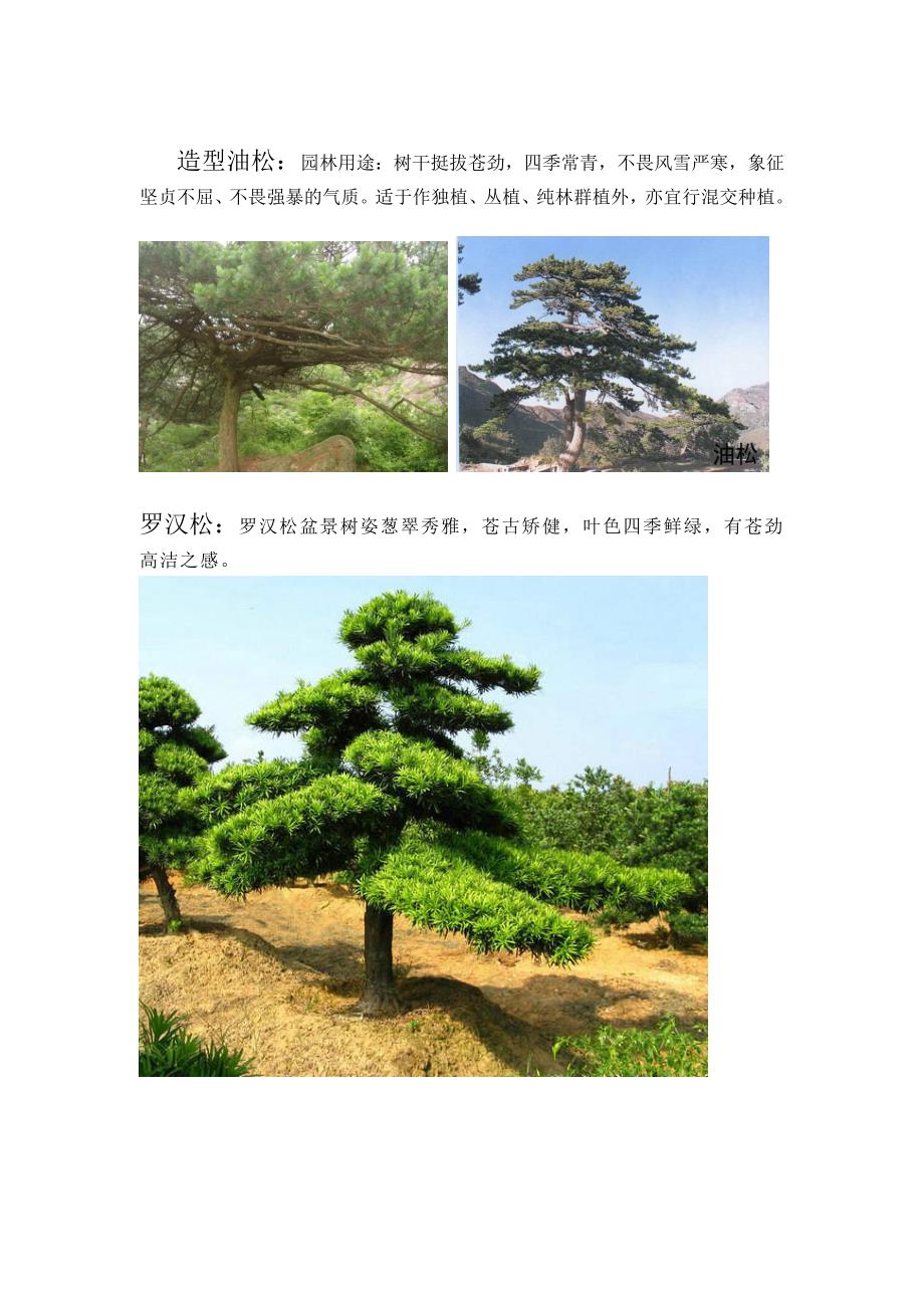 北方常用园林植物汇总.doc_第3页