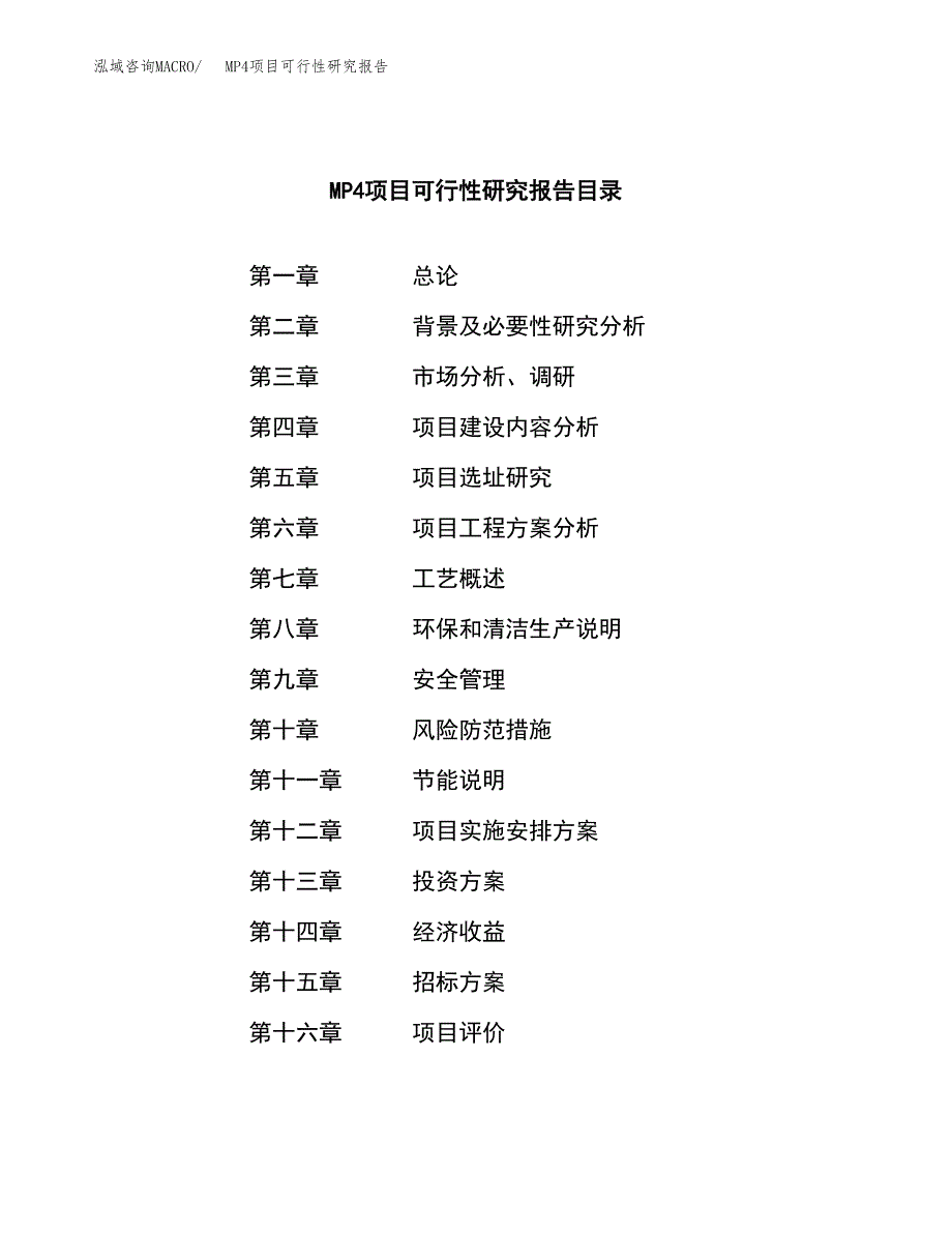 MP4项目可行性研究报告（总投资3000万元）（13亩）_第2页