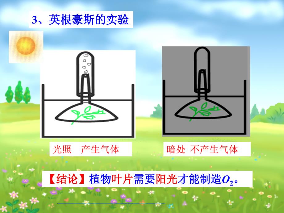 精品课件：《光合作用的过程》课件1_第4页