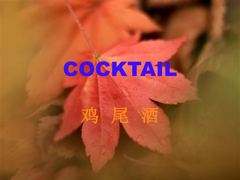 鸡尾酒酒吧酒品培训素材_第1页