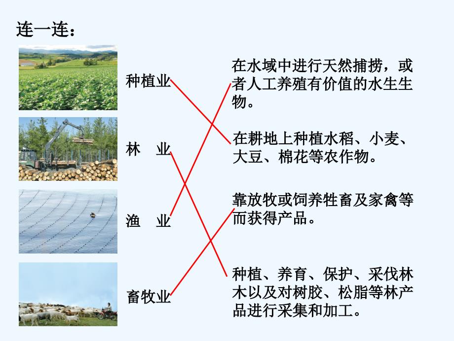 地理人教版八年级上册农业 第一节 （视频导入）_第4页