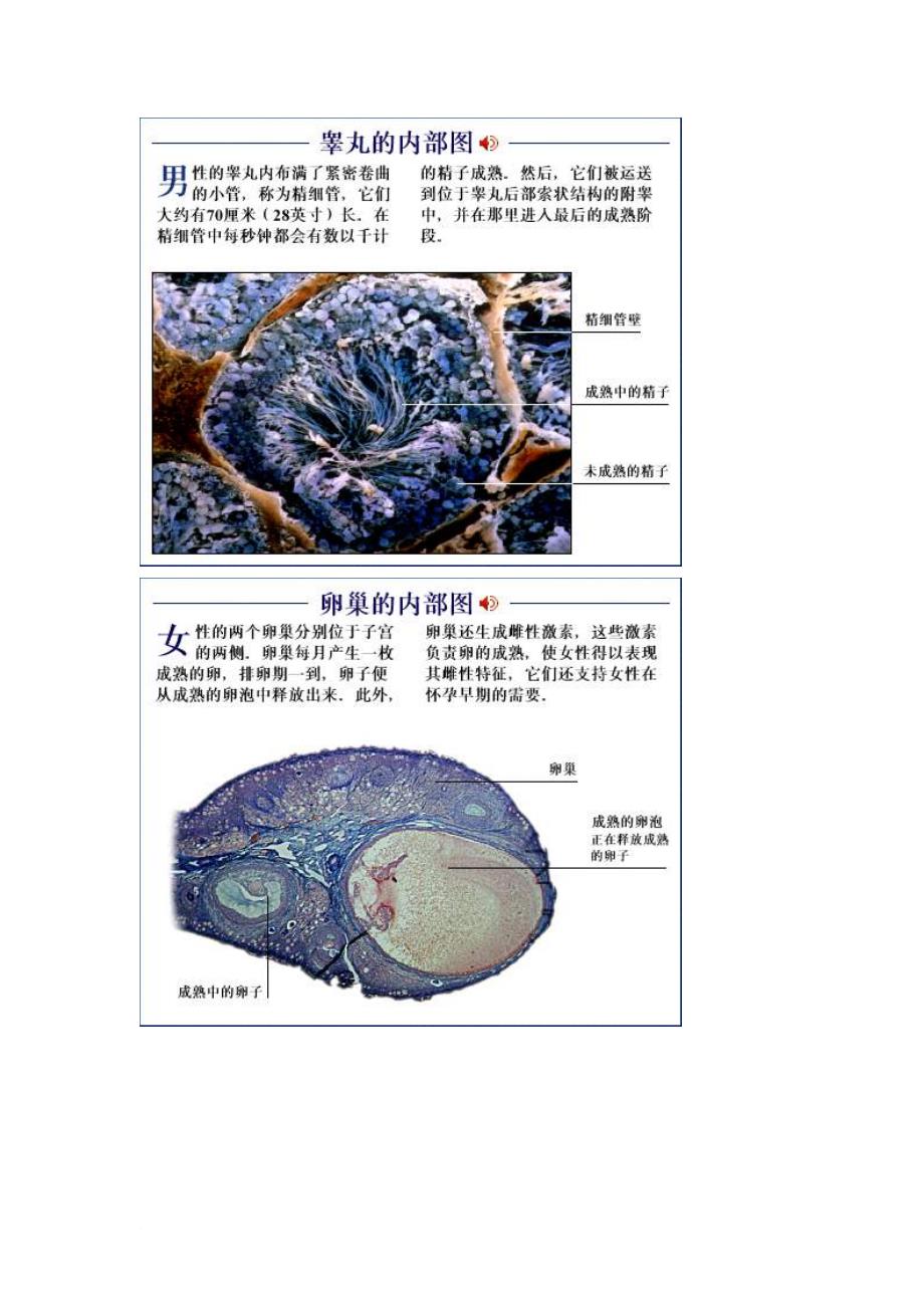 医药保健知识图片素材.doc_第3页