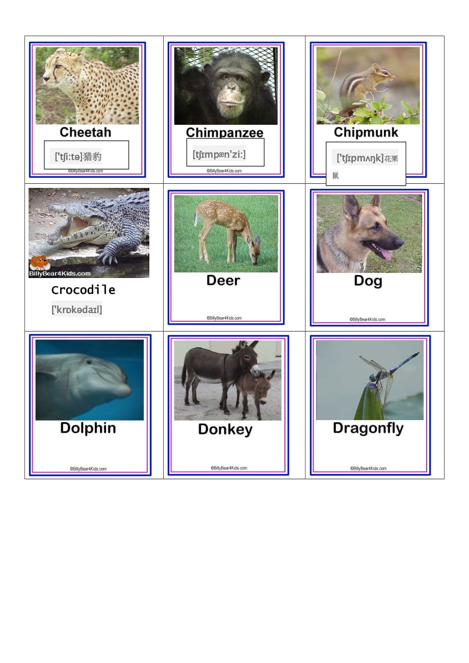 动物英语名称及图片.doc_第2页