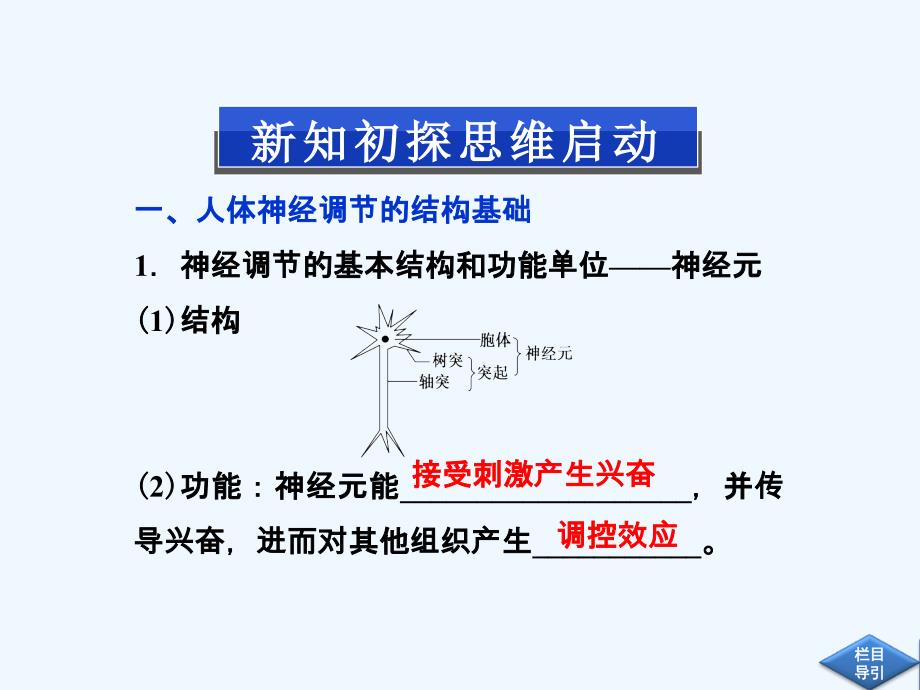 精品课件：《人体生命活动的神经调节》课件2_第4页