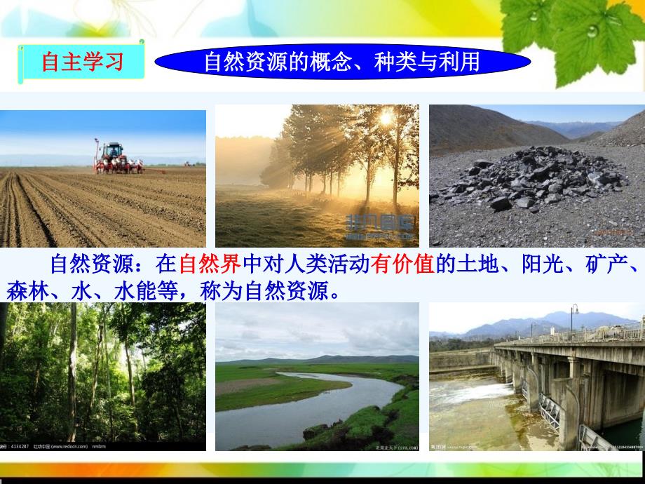 地理人教版八年级上册中国的自然资源的基本特征_第2页