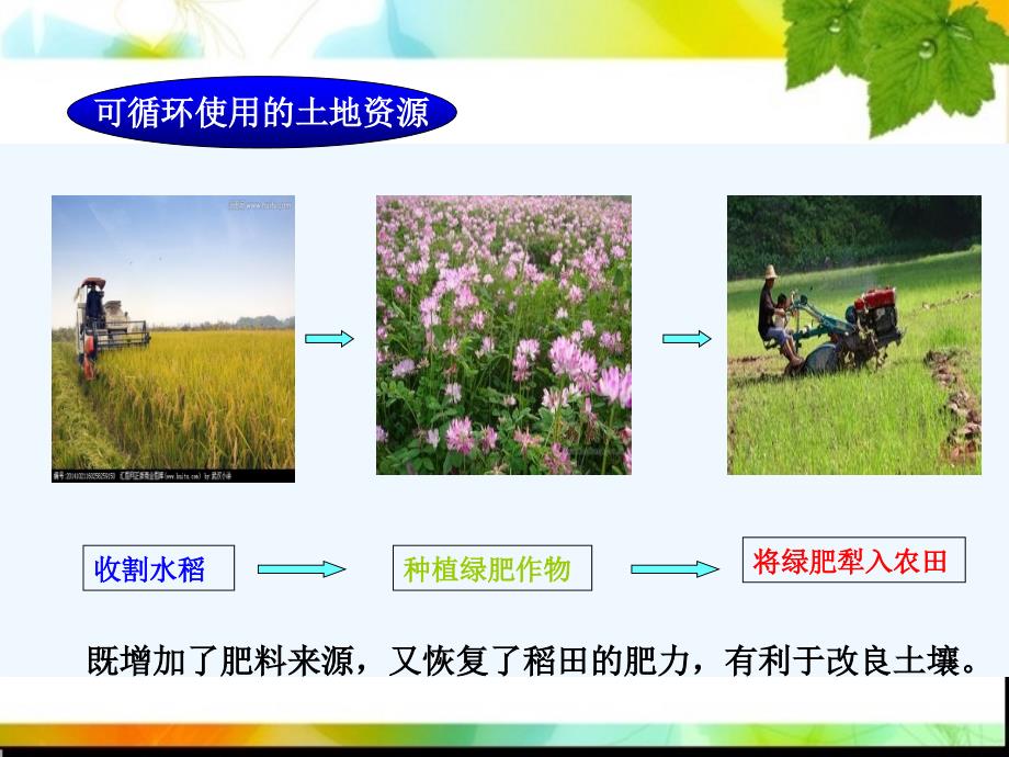 地理人教版八年级上册中国的自然资源的基本特征_第4页