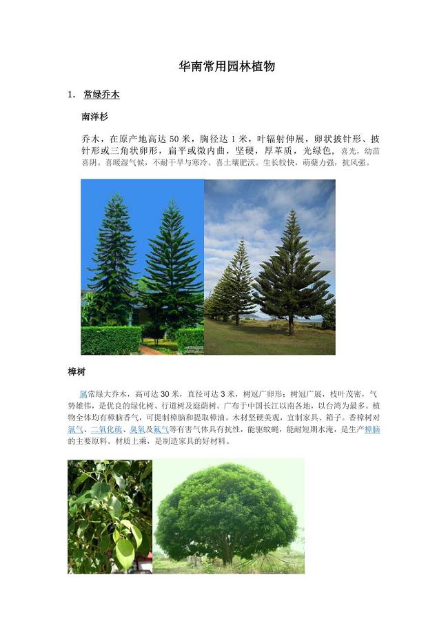 华南常用园林植物.doc