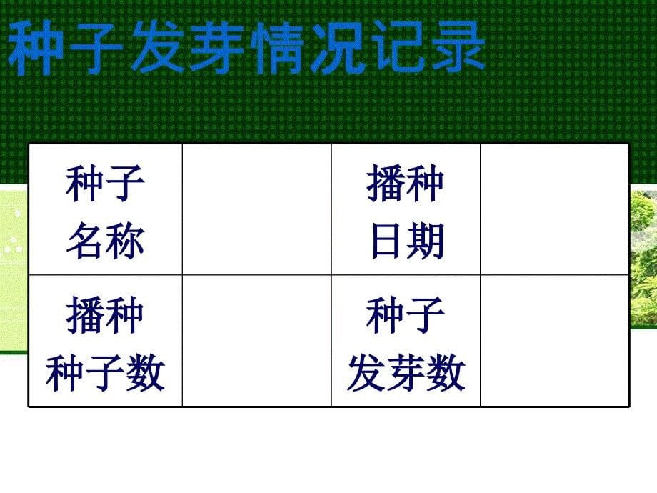 四年级下册科学课件-11 种茄子 - 冀人版(共15张PPT)_第5页