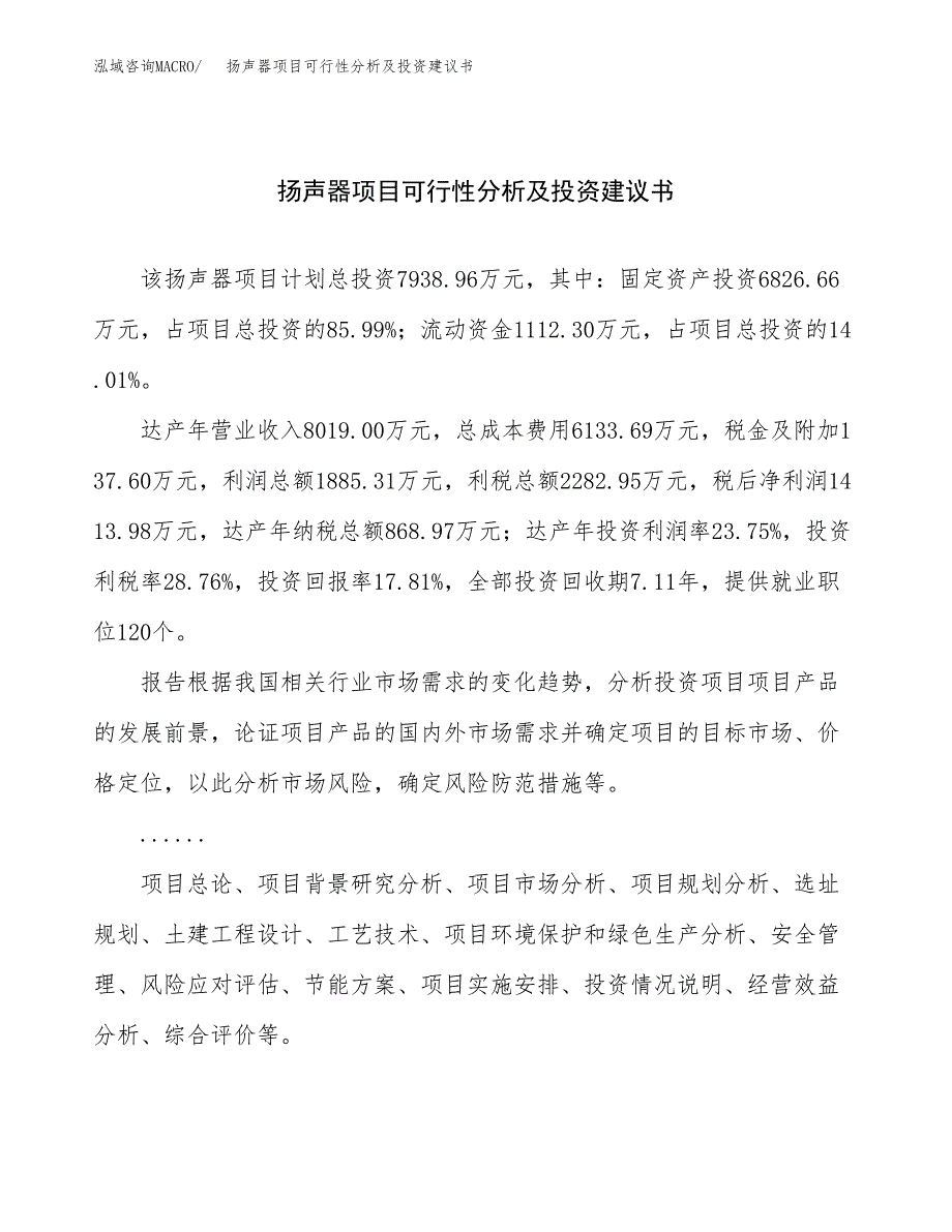 扬声器项目可行性分析及投资建议书.docx_第1页