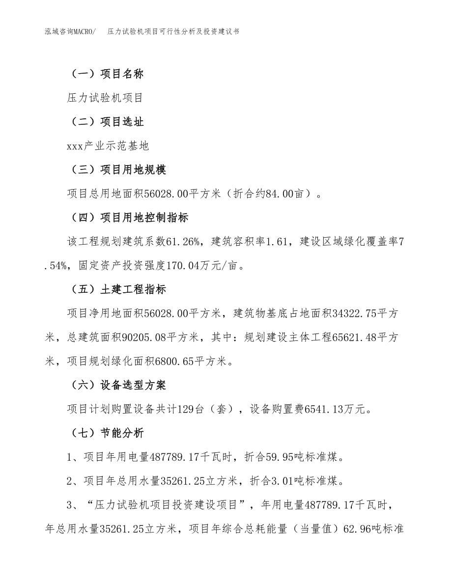 压力试验机项目可行性分析及投资建议书.docx_第5页