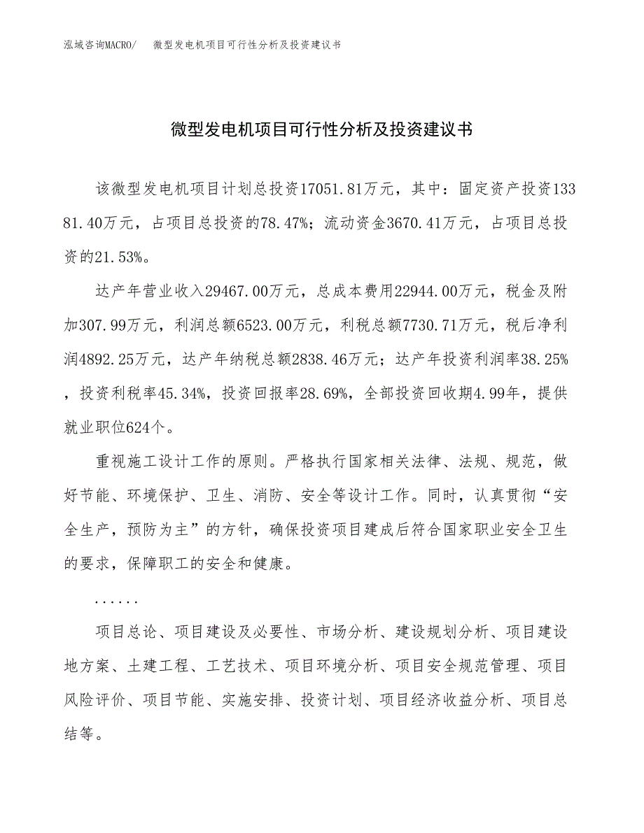 微型发电机项目可行性分析及投资建议书.docx_第1页