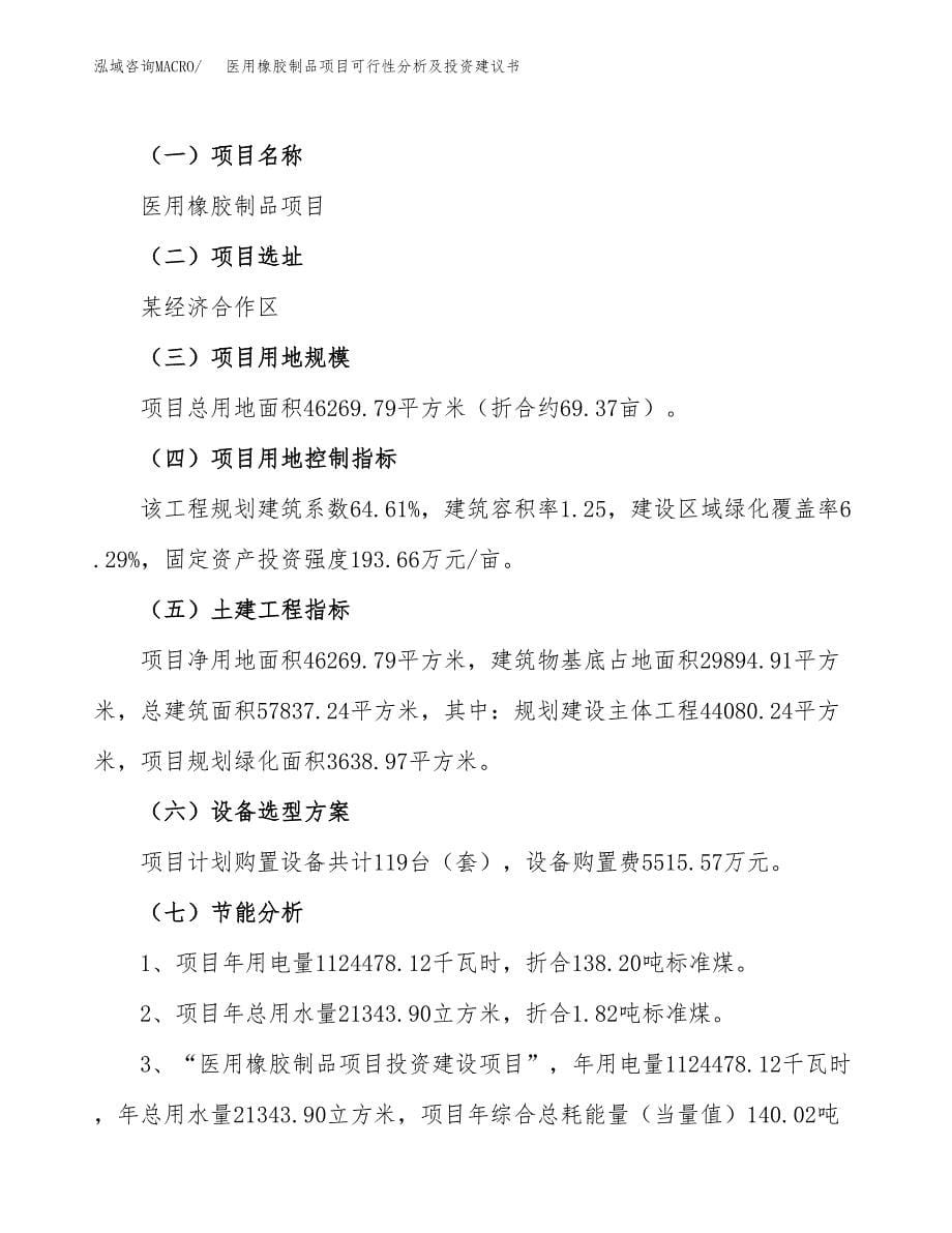 医用橡胶制品项目可行性分析及投资建议书.docx_第5页