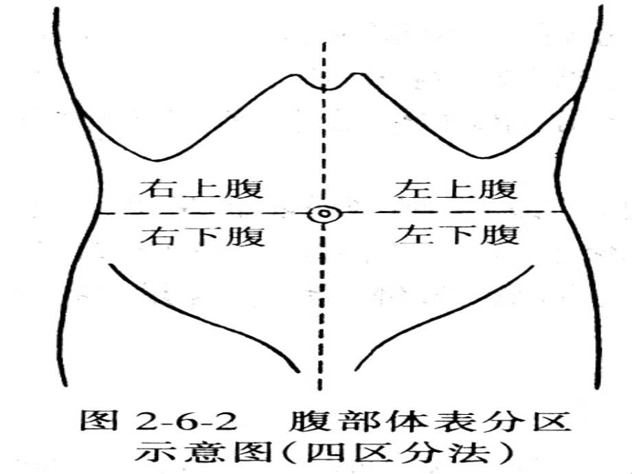 诊疗学腹部体征学临床诊疗学_第5页