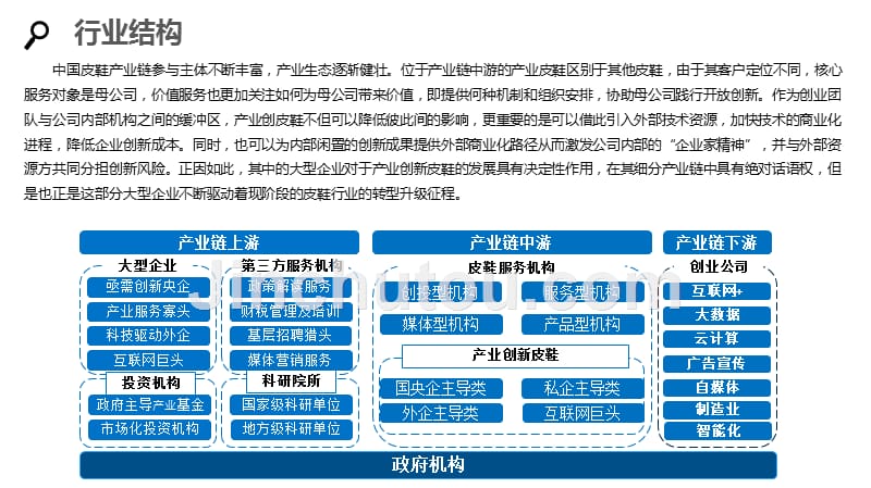 2020皮鞋行业分析调研报告_第5页