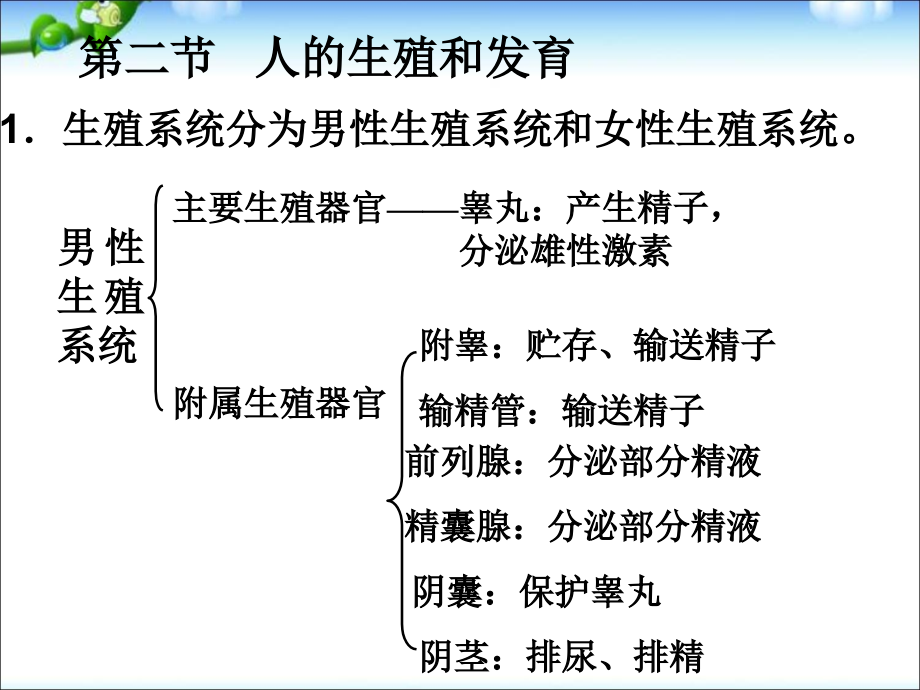 精品生物中考总复习之二_第4页