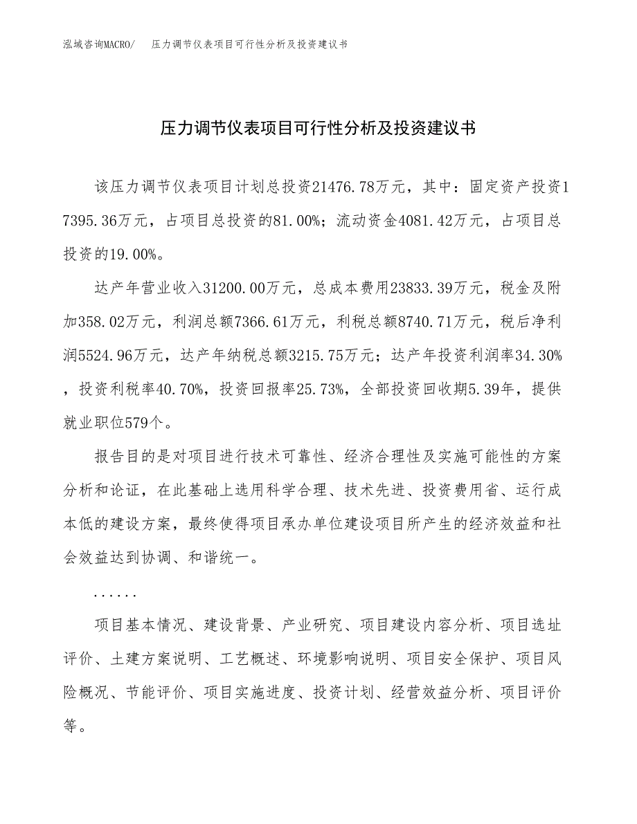 压力调节仪表项目可行性分析及投资建议书.docx_第1页