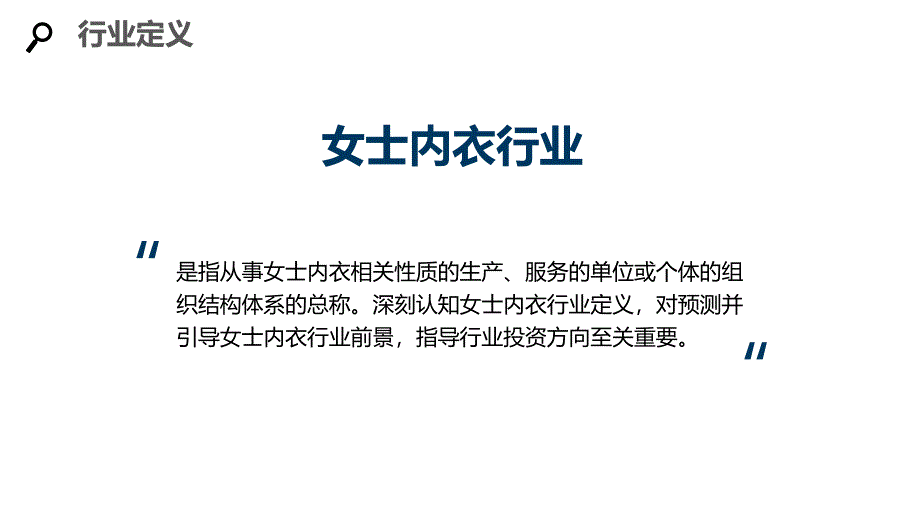 2020女士内衣行业分析调研报告_第4页