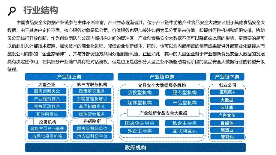 2020食品安全大数据行业分析调研报告_第5页