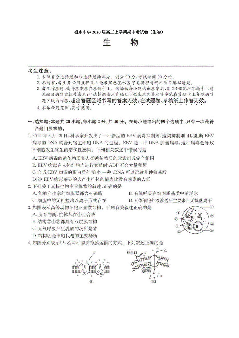 衡水中学2020届高三上学期期中考试卷（生物） .docx_第1页