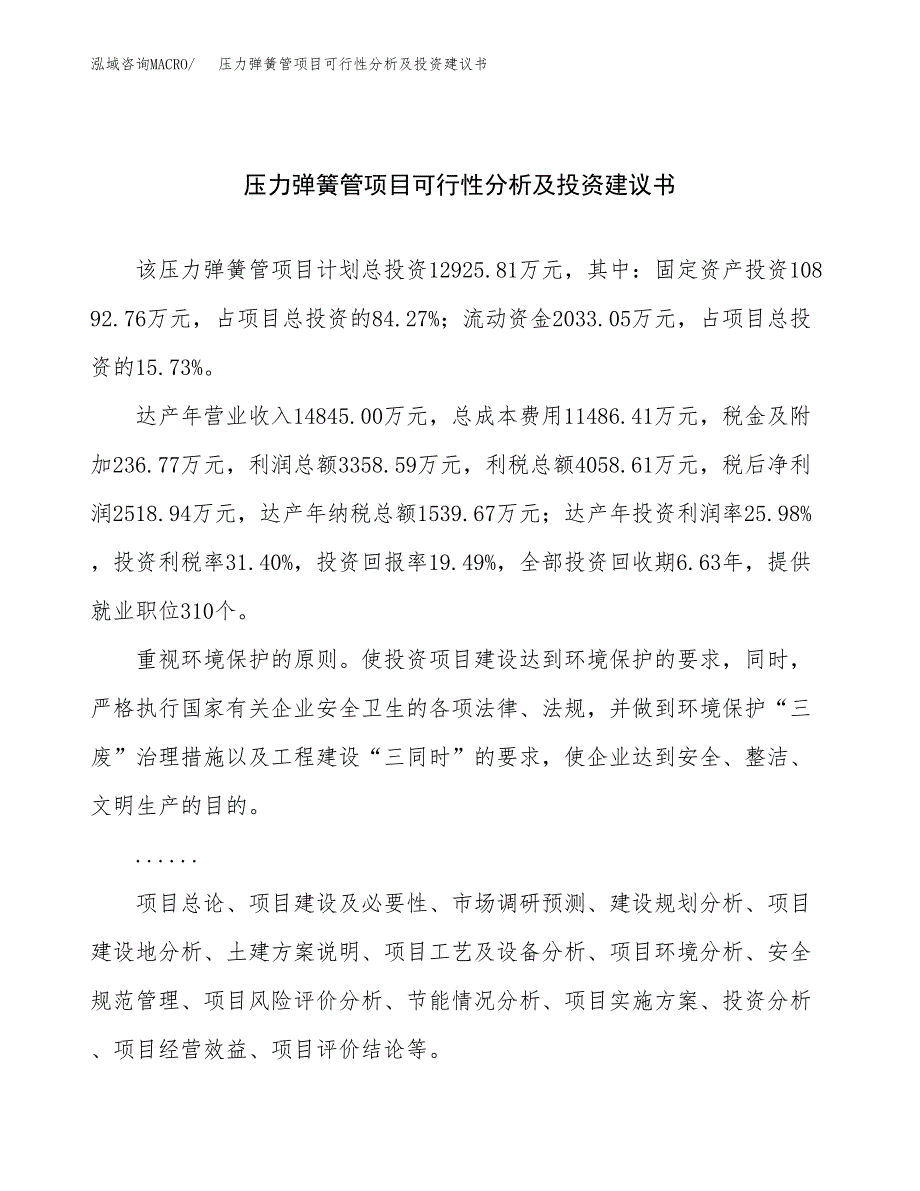 压力弹簧管项目可行性分析及投资建议书.docx_第1页