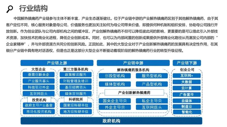 2020解热镇痛药行业分析报告调研_第5页