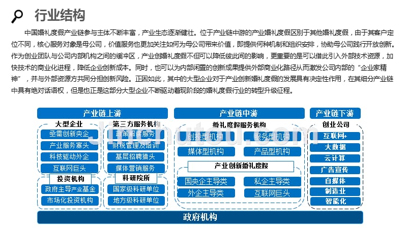 2020婚礼度假行业分析报告调研_第5页