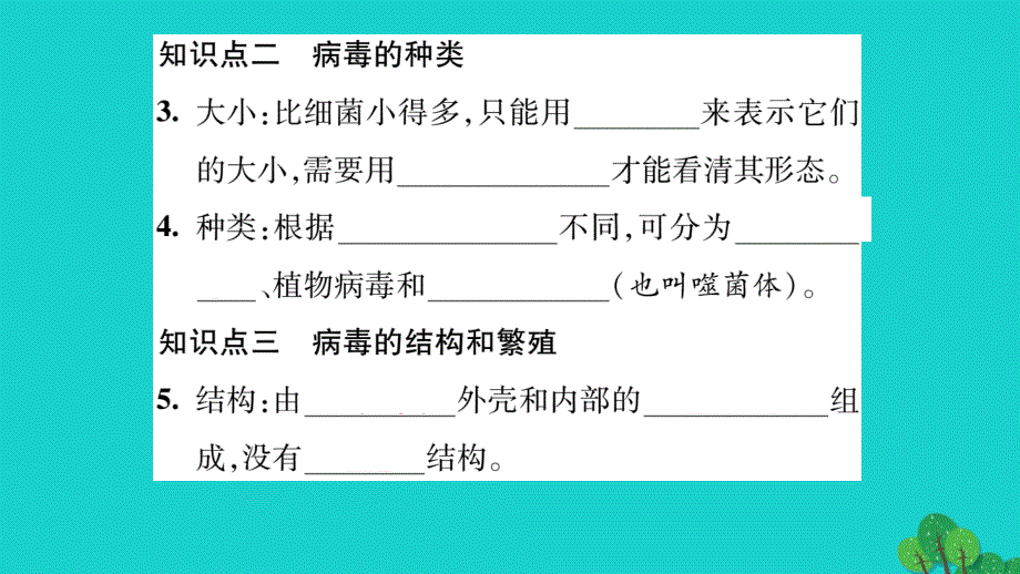 qbbAAA2016年秋八年级生物上册 第五单元 第五章 病毒课件 （新版）新人教版_第3页