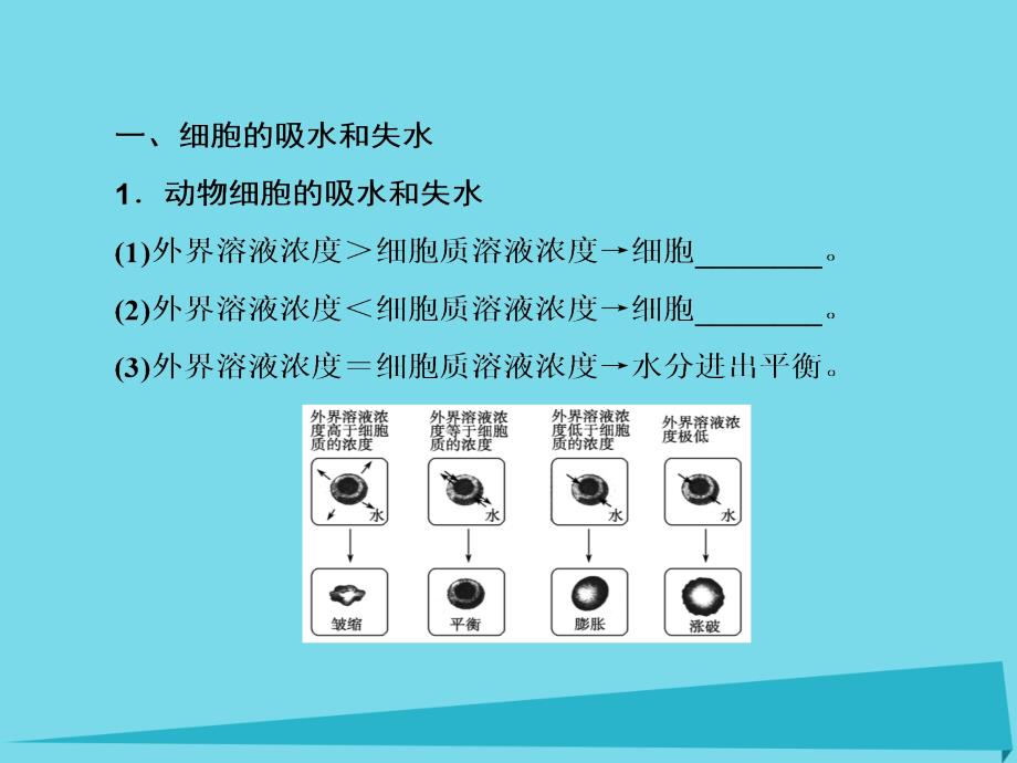 2017高考生物大一轮复习 第二单元 细胞的基本结构和物质输入和输出 第7讲 细胞的物质输入和输出课件 新人教版_第3页