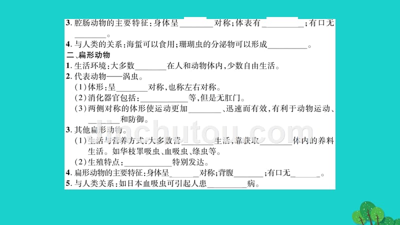 2016年秋八年级生物上册 第五单元 第一章 第一节 腔肠动物和扁形动物课件 （新版）新人教版_第5页