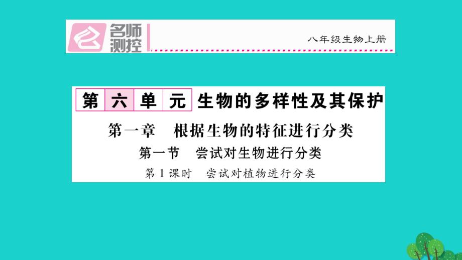 2016年秋八年级生物上册 第六单元 第一节 尝试对生物进行分类（第1课时 尝试对植物进行分类）课件 （新版）新人教版_第1页