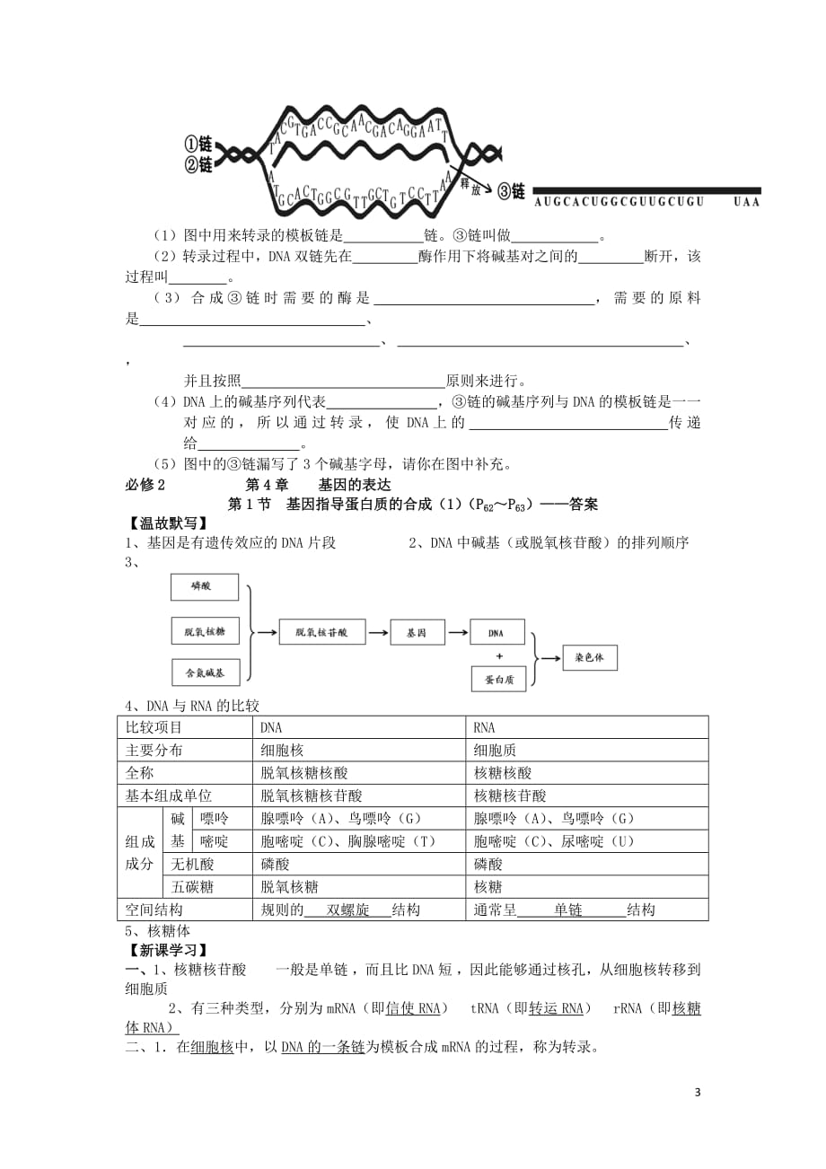 广东省佛山市高中生物第4章基因的表达第1节基因指导蛋白质的合成（1）学案新人教版必修2_第3页