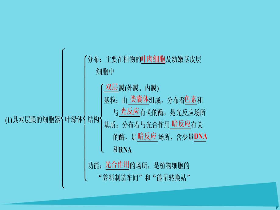 优化探究2017届高考生物一轮复习 第二单元 细胞的基本结构和运输功能 第二讲 细胞器与生物膜系统课件 新人教版_第3页