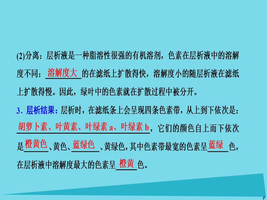 优化探究2017届高考生物一轮复习 第三单元 细胞的能量供应和利用 第三讲 能量之源-光与光合作用（一）课件 新人教版_第3页