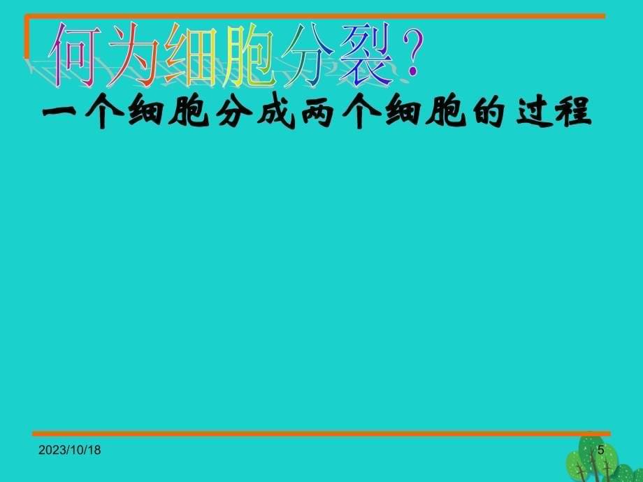 七年级生物上册 2.4.1 细胞的分裂与分化课件5 苏教版_第5页