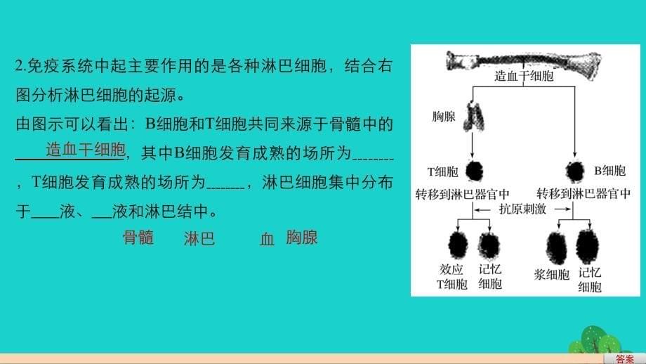 2016-2017学年高中生物 第2章 动物和人体生命活动的调节 第4节 免疫调节 第1课时 免疫系统的组成、体液免疫课件 新人教版必修3_第5页