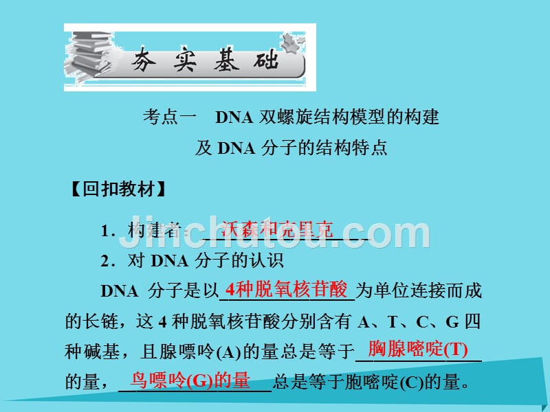2017届高考高考生物一轮复习 第三章 基因的本质（第二十一课时）第2～4节 DNA分子的结构、课件 新人教版必修2_第3页