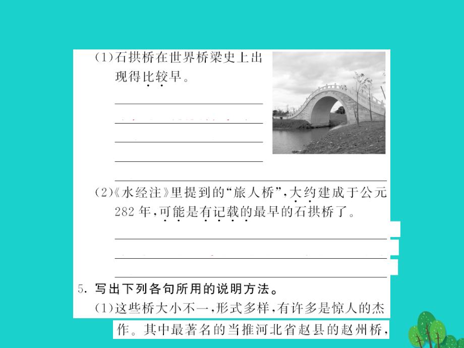 2016年八年级语文上册 第三单元 第11课《中国石拱桥》课件 新人教版_第4页