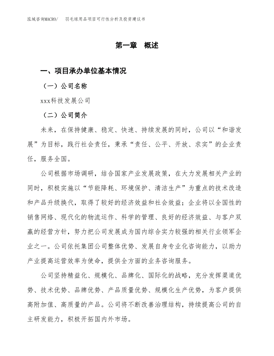 羽毛球用品项目可行性分析及投资建议书.docx_第3页