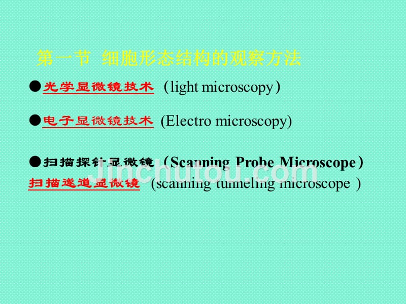 生物专题细胞生物学研究方法_第3页