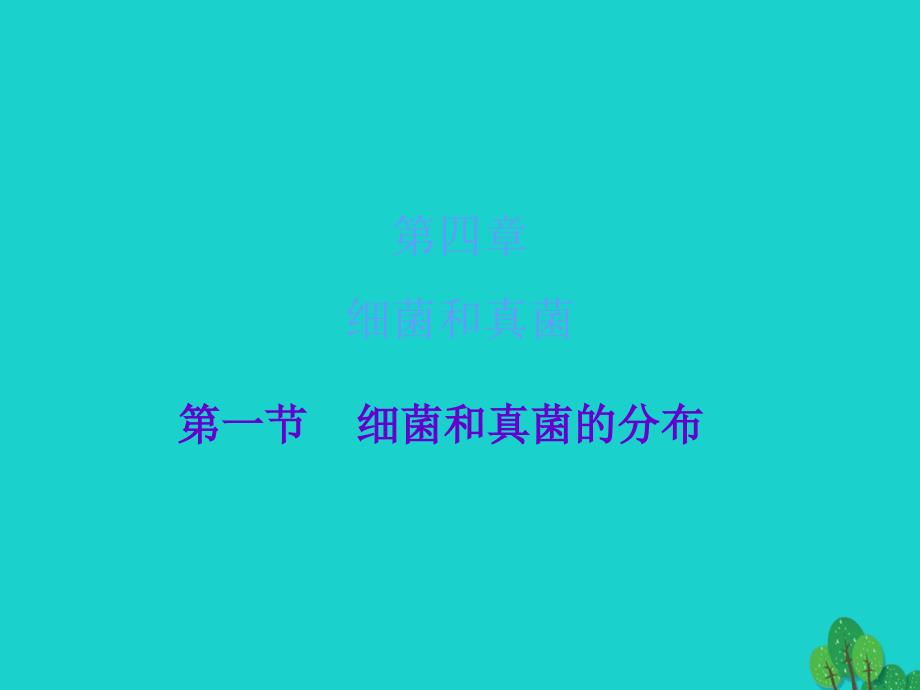 广东省2016-2017年八年级生物上册 第五单元 第4章 第1节 细菌和真菌的分布导练课件 （新版）新人教版_第1页