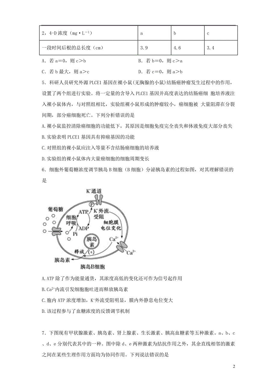 湖南省2019_2020学年高二生物上学期期中试题2019112802116_第2页