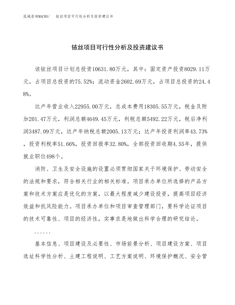 铱丝项目可行性分析及投资建议书.docx_第1页