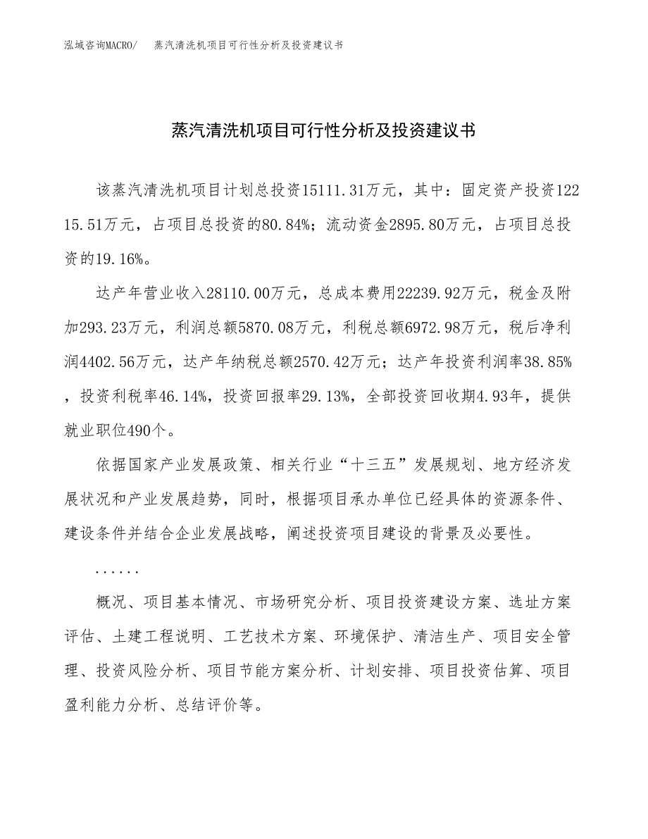 蒸汽清洗机项目可行性分析及投资建议书.docx_第1页