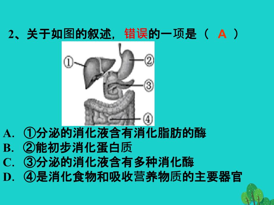 内蒙古鄂尔多斯市康巴什新区第二中学2015-2016学年八年级生物下册 第二轮复习 专题五 生物圈生命的延续和发展课件 新人教版_第3页