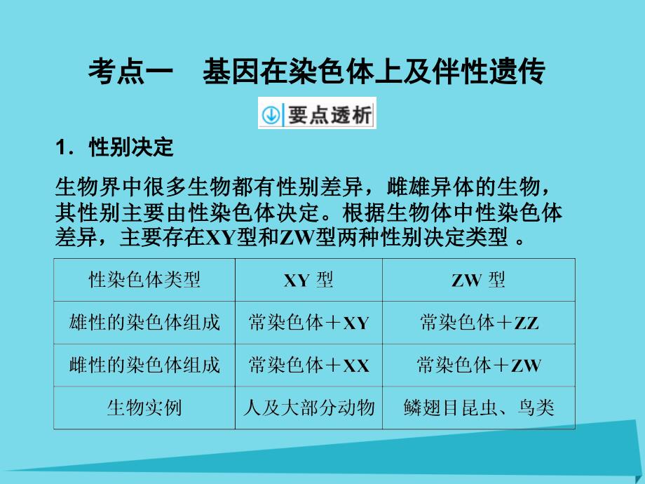 2017年高考生物一轮复习 第五单元 孟德尔定律和伴性遗传 第16讲 基因在染色体上和伴性遗传课件_第2页