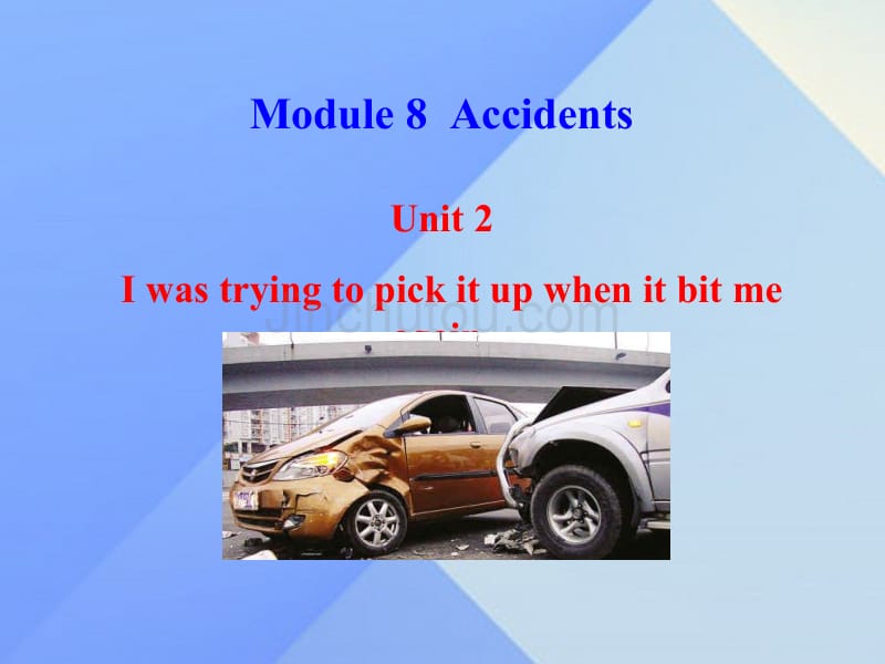 2016年秋八年级英语上册 Module 8 Accidents Unit 2 I was trying to pick it up when it bite me again课件2 （新版）外研版_第1页